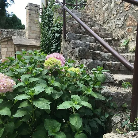 Pavlina Villa